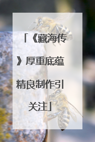 《藏海传》厚重底蕴精良制作引关注