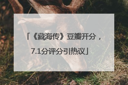 《藏海传》豆瓣开分，7.1分评分引热议