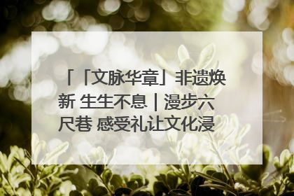 「文脉华章」非遗焕新 生生不息｜漫步六尺巷 感受礼让文化浸润的“巷”往生活