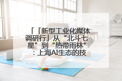 「新型工业化媒体调研行」从“北斗七星”到“热带雨林”：上海AI生态的技术商业共生密码