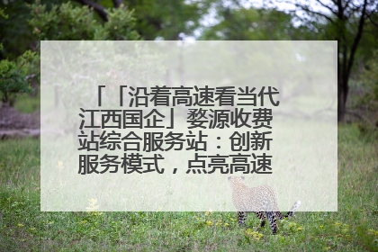 「沿着高速看当代江西国企」婺源收费站综合服务站：创新服务模式，点亮高速出行新体验