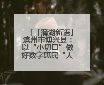 「蒲湖新语」滨州市博兴县：以“小切口”做好数字惠民“大文章”