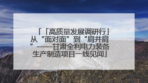 「高质量发展调研行」从“面对面”到“肩并肩”——甘肃全利电力装备生产制造项目一线见闻