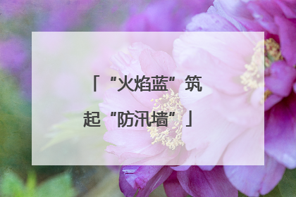 “火焰蓝”筑起“防汛墙”