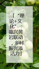 “理论+文化”：嘉兴黄岩联动，乡村振兴添活力
