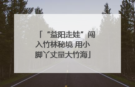 “益阳走娃”闯入竹林秘境 用小脚丫丈量大竹海