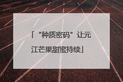 “种质密码”让元江芒果甜蜜持续