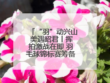 “羽”动兴山 美遇昭君丨挥拍激战在即 羽毛球锦标赛筹备工作有序进行