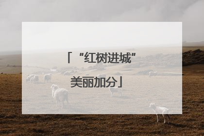 “红树进城” 美丽加分