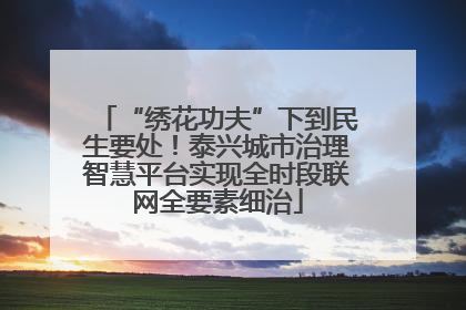 “绣花功夫”下到民生要处！泰兴城市治理智慧平台实现全时段联网全要素细治
