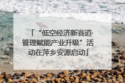 “低空经济新赛道·管理赋能产业升级”活动在萍乡安源启动