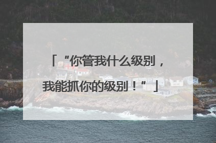 “你管我什么级别，我能抓你的级别！”