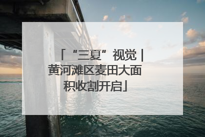 “三夏”视觉｜黄河滩区麦田大面积收割开启