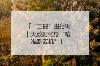 “三夏”进行时｜大数据化身“精准割麦机”