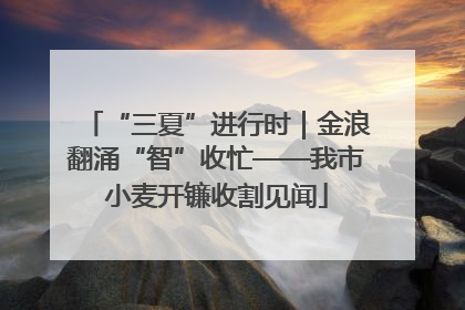 “三夏”进行时｜金浪翻涌“智”收忙——我市小麦开镰收割见闻