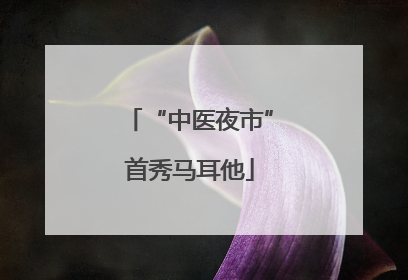 “中医夜市”首秀马耳他