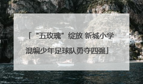 “五玫瑰”绽放 新城小学混编少年足球队勇夺四强