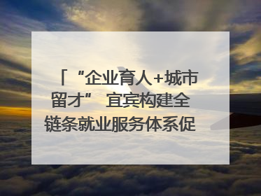 “企业育人+城市留才” 宜宾构建全链条就业服务体系促高校毕业生就业｜您牵挂的四川