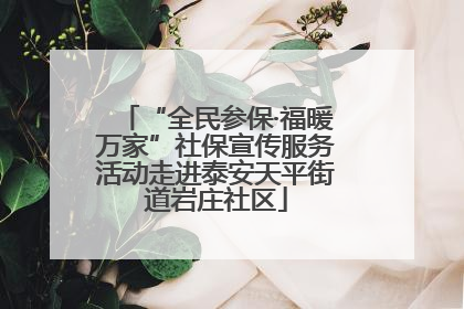 “全民参保·福暖万家”社保宣传服务活动走进泰安天平街道岩庄社区
