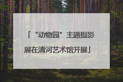 “动物园”主题摄影展在清河艺术馆开展