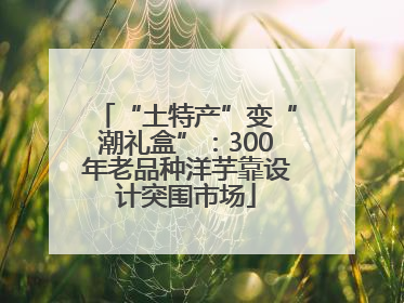 “土特产”变“潮礼盒”：300年老品种洋芋靠设计突围市场