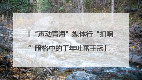 “声动青海”媒体行“扣响”暗格中的千年吐蕃王冠