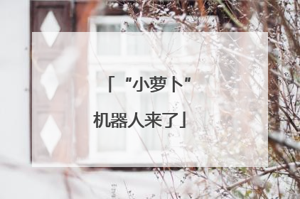 “小萝卜”机器人来了