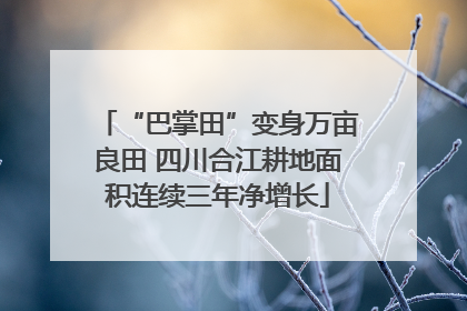“巴掌田”变身万亩良田 四川合江耕地面积连续三年净增长