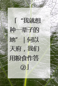 “我就想种一辈子的地”｜何以天府，我们用粮食作答②