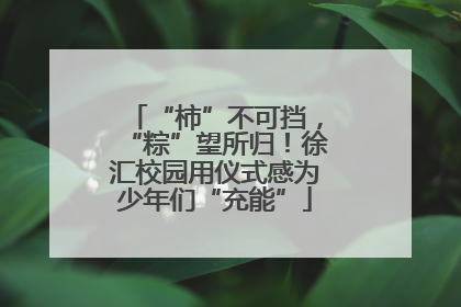 “柿”不可挡，“粽”望所归！徐汇校园用仪式感为少年们“充能”