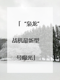 “枭龙”战机最新型号曝光