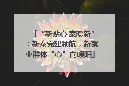 “新贴心·泰暖新”：新泰党建领航，新就业群体“心”向暖阳