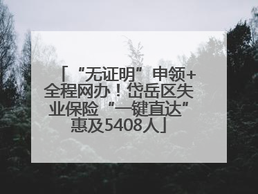“无证明”申领+全程网办！岱岳区失业保险“一键直达”惠及5408人