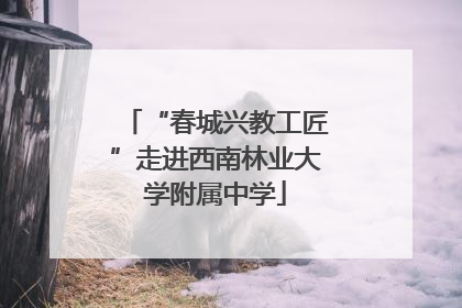“春城兴教工匠”走进西南林业大学附属中学