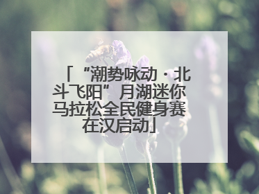 “潮势咏动・北斗飞阳”月湖迷你马拉松全民健身赛在汉启动