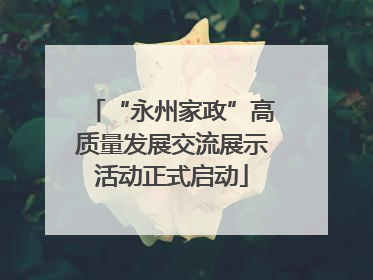 “永州家政”高质量发展交流展示活动正式启动
