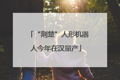 “荆楚”人形机器人今年在汉量产