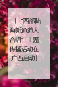 “西部陆海新通道大合唱”主题传播活动在广西启动