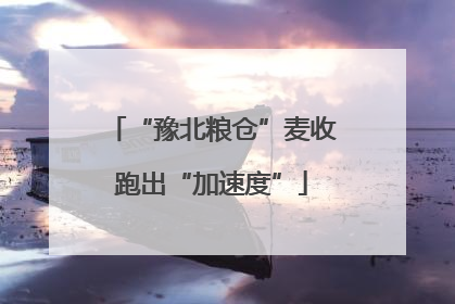 “豫北粮仓”麦收跑出“加速度”
