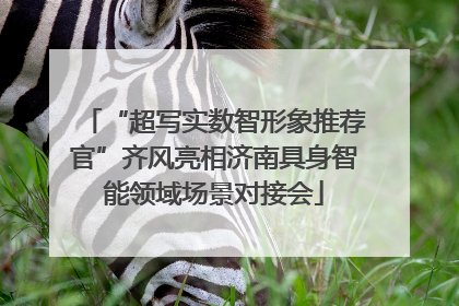 “超写实数智形象推荐官”齐风亮相济南具身智能领域场景对接会