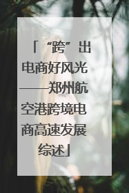 “跨”出电商好风光——郑州航空港跨境电商高速发展综述