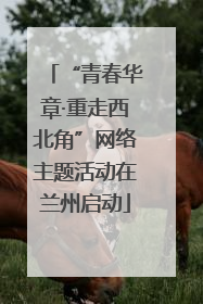 “青春华章·重走西北角”网络主题活动在兰州启动