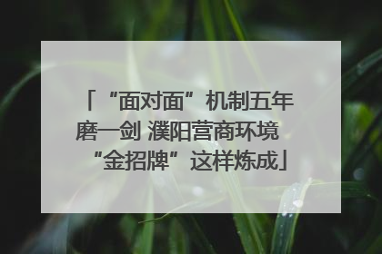 “面对面”机制五年磨一剑 濮阳营商环境“金招牌”这样炼成