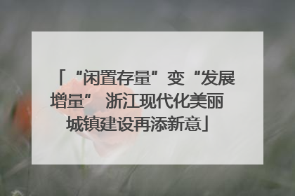 “闲置存量”变“发展增量” 浙江现代化美丽城镇建设再添新意