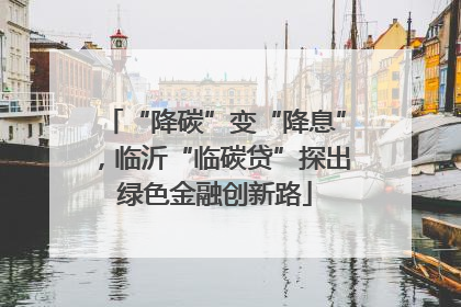 “降碳”变“降息”，临沂“临碳贷”探出绿色金融创新路