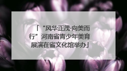 “风华正茂·向美而行”河南省青少年美育展演在省文化馆举办