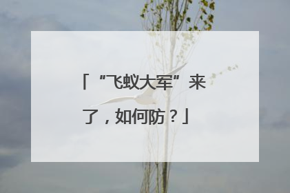 “飞蚁大军”来了，如何防？