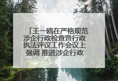 王一鸥在严格规范涉企行政检查暨行政执法评议工作会议上强调 推进涉企行政检查质效大幅提升