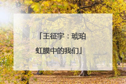 王征宇：琥珀虹膜中的我们