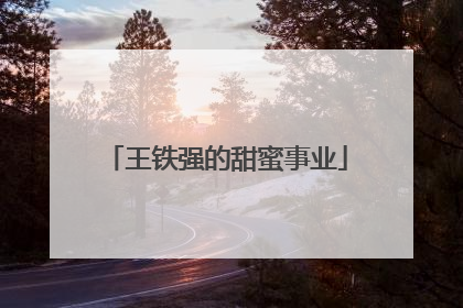 王铁强的甜蜜事业